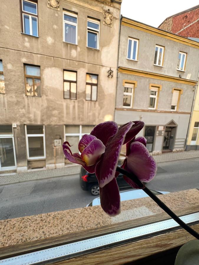 Centar Apartman Sarajevo