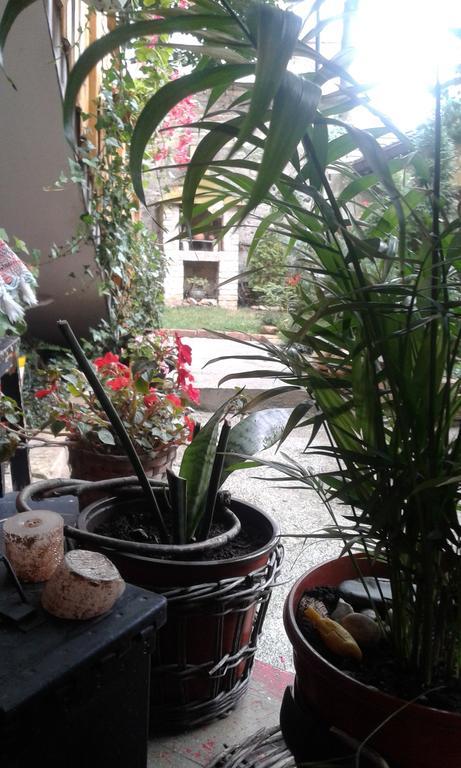 Centar Apartman *